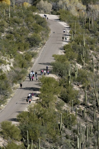 Sabino Canyon Run